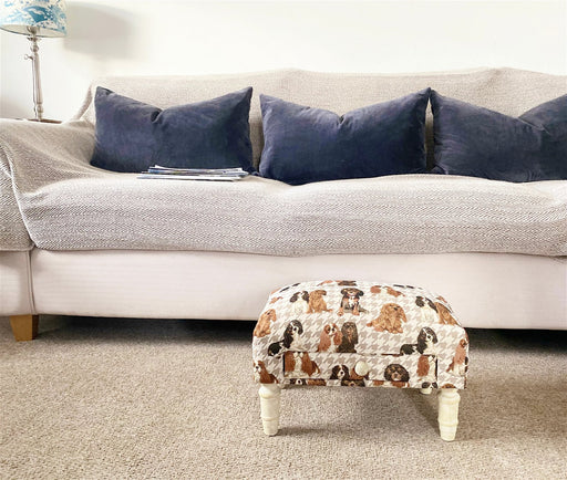 Dog Fabric Footstool with Drawer